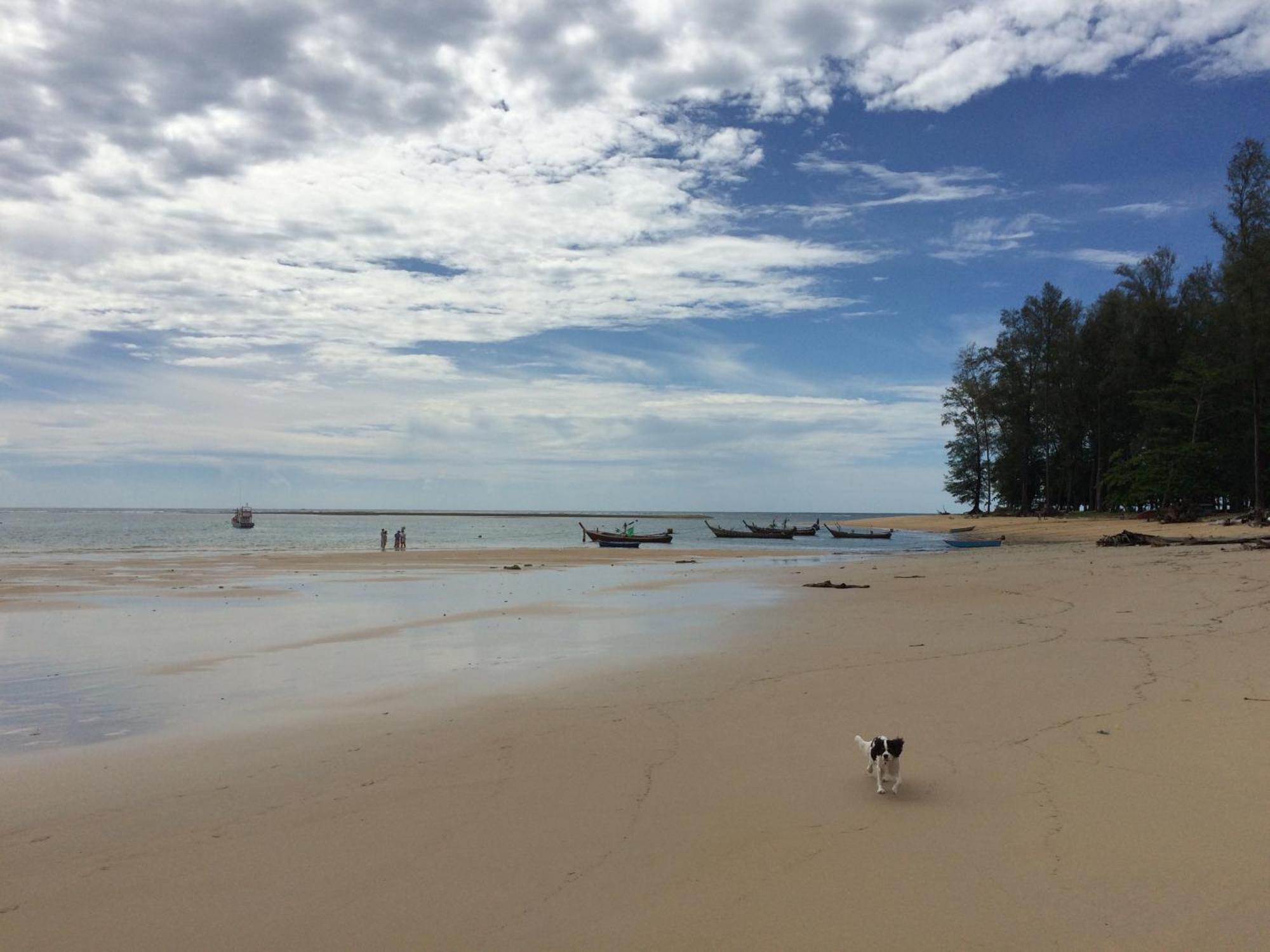나이스 냅 호텔 Nai Yang Beach 외부 사진